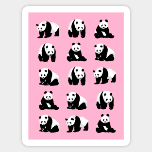 Pandas Pattern on a Pink Background Sticker